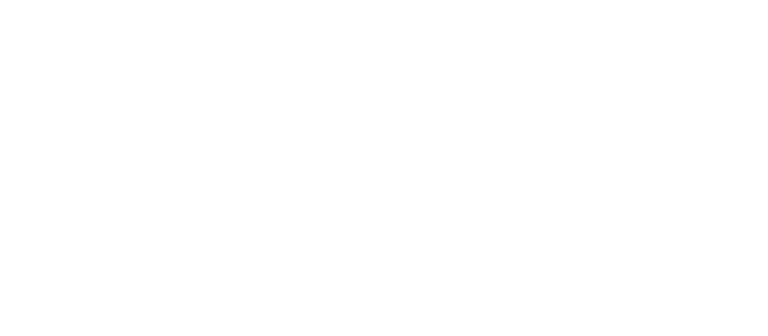 pebbletec orginal